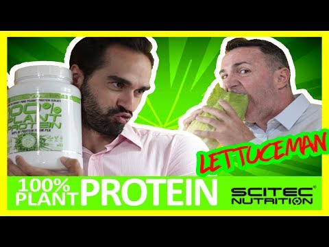 PROTEINA VEGENTAL; Scitec Nutrition