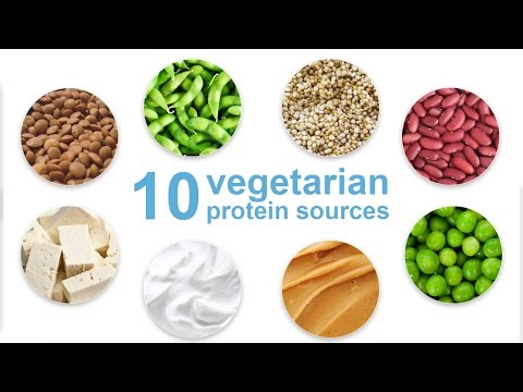Top 10 Vegetarian Protein Sources